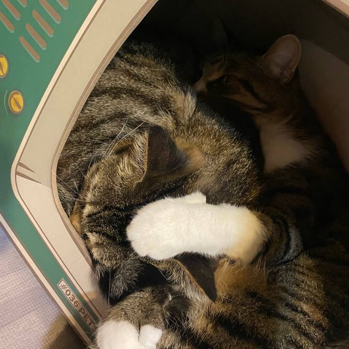 31badd6e e289 4c4c bbec 6aaf3a422c3d 1632222744477