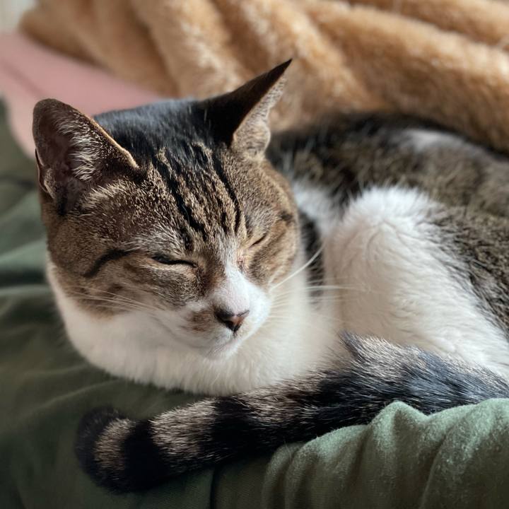 31bae0d2 c65f 4c9d 864a 5ffb375c173d 1648854991493