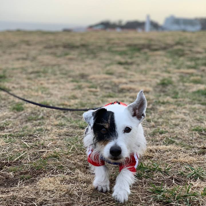 31bae5a1 642b 4312 90ea 0de9a3e07767 1708413499334