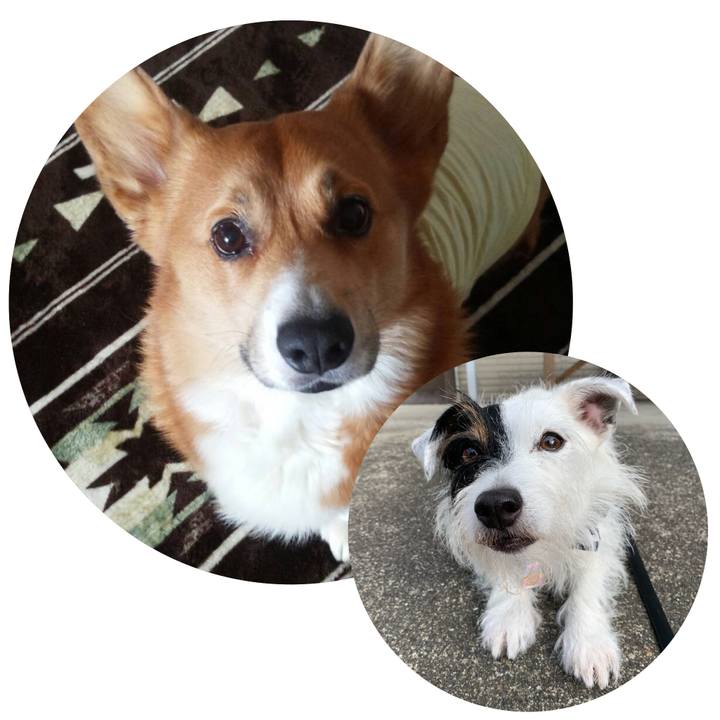 31baefd2 b308 486a 9a84 ee3900041029 1663310778569