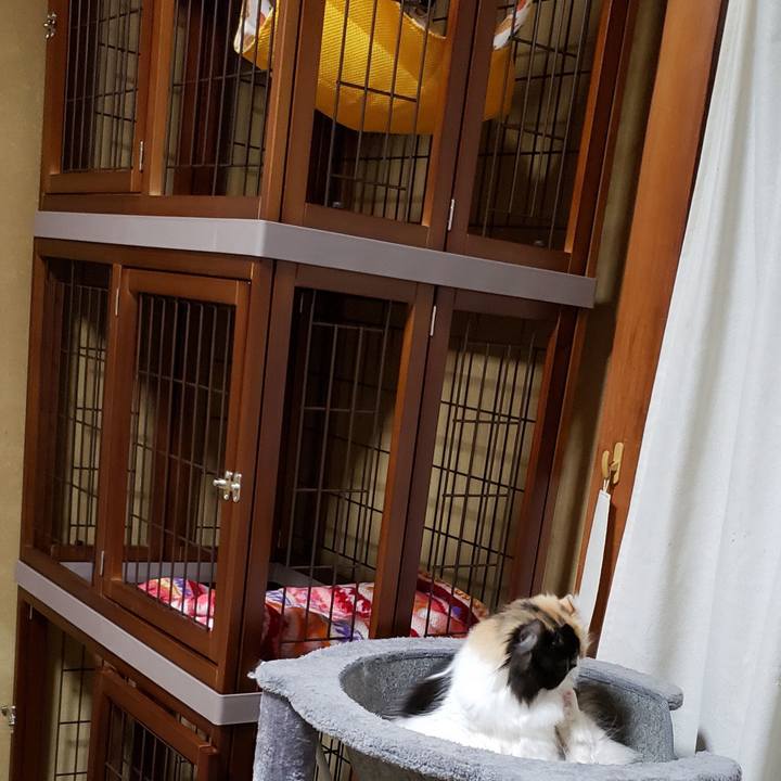 31bb495b 8b92 47e7 a2dd 3dc5842d52f6 1605614309592