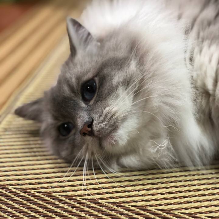 31bb8386 0fec 4c69 9a7a 31c41f3ae440 1545219598318