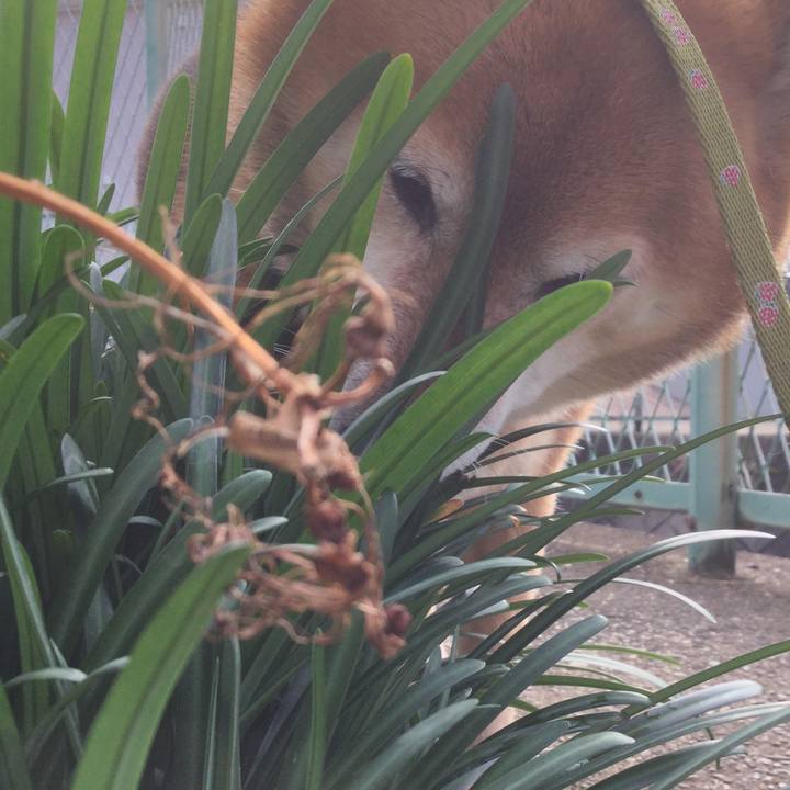 31bb8d0c 06b8 4ac4 9462 6eaa5a310b9f 1604711798643