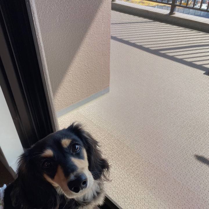 31bba5d8 8894 4cd6 8097 e29271b792fd 1677911786754