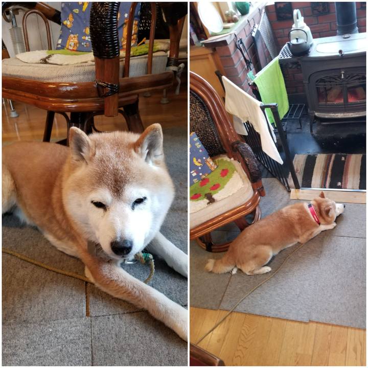 31bbbac9 deb8 4c54 b9e5 edd673eb3add 1710285032406