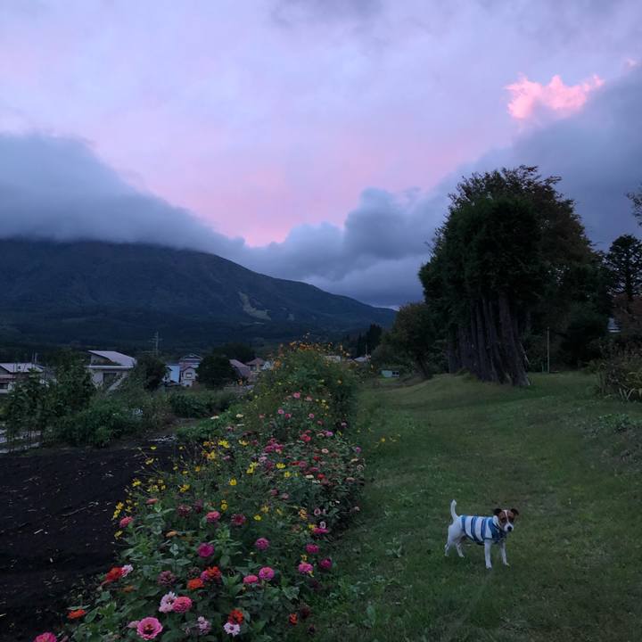 31bbe3d6 dca9 450d 99a4 5685cb63a7ea 1602245054360