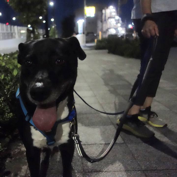 31bbf525 c169 45a3 b15e a64890e89cb6 1692962181804