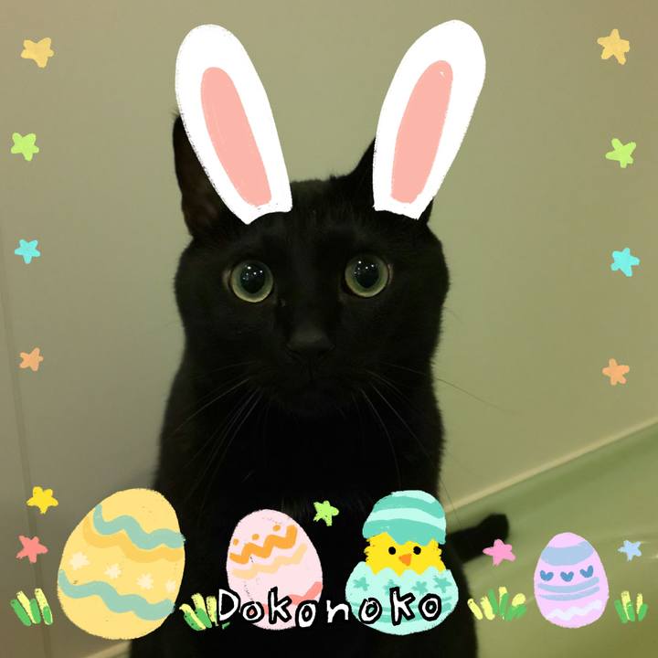 31bc2cda d146 47d4 9688 4ab61e999959 1712204525070