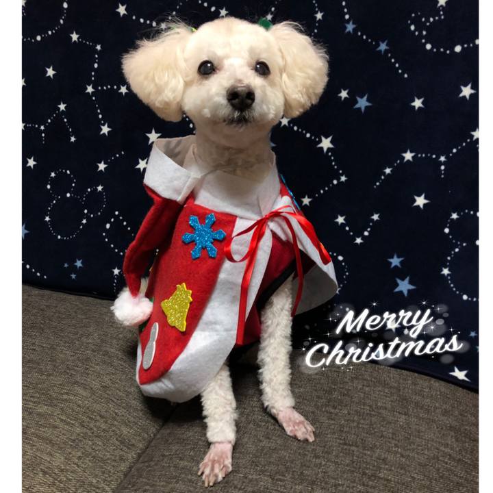 31bc3b2e 436e 4938 847d 3782df3aaa37 1545661312680