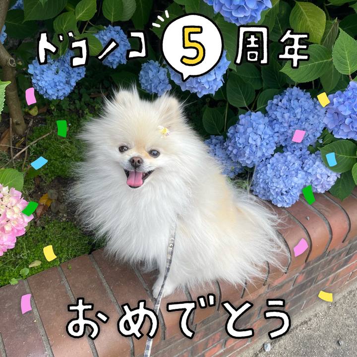 31bc7af6 1ea6 4a0f a4cb f73eebd6149b 1622855339917