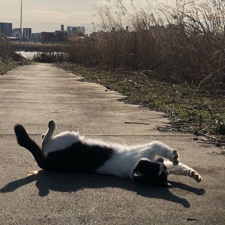 31bcaddb db4b 4fe5 992a b540f20685a0 1583134462442