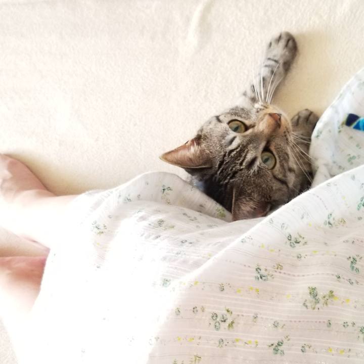 31bd166c b32f 4bdf a56a b0f2ce293967 1689130827063