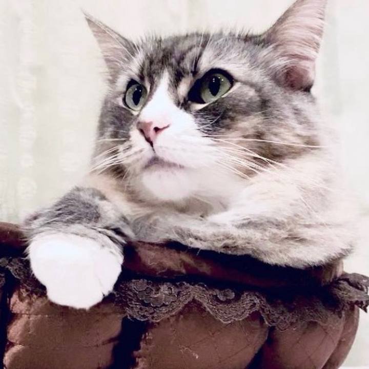 31bd1e04 f113 4a41 bdd2 149c46d087b2 1760456658982