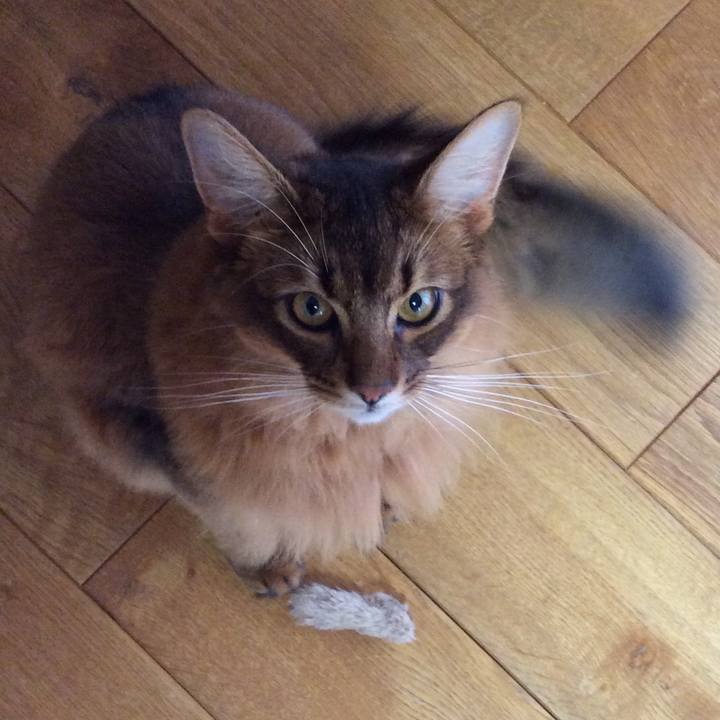 31bd5310 df98 472e 9aa0 6494267b4ead 1598838452017