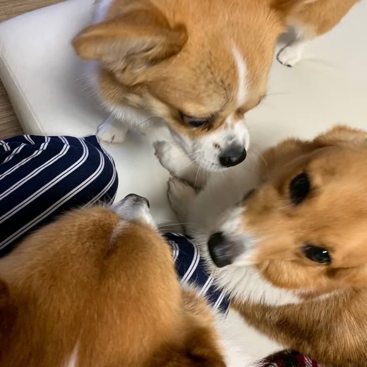 31bd612e d420 409a 8a2d 9ec26749a273 1595038841016