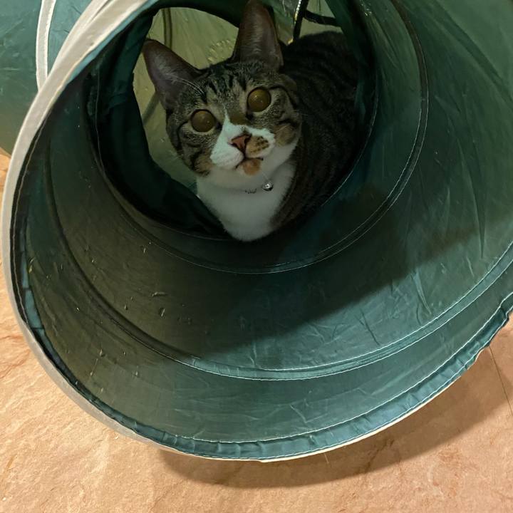 31bd7229 ee4b 4fef a396 3082162c824a 1699863244933