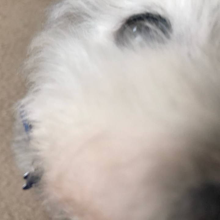 31bd7ee4 29d7 40a2 983f 542c0561525d 1644932003717