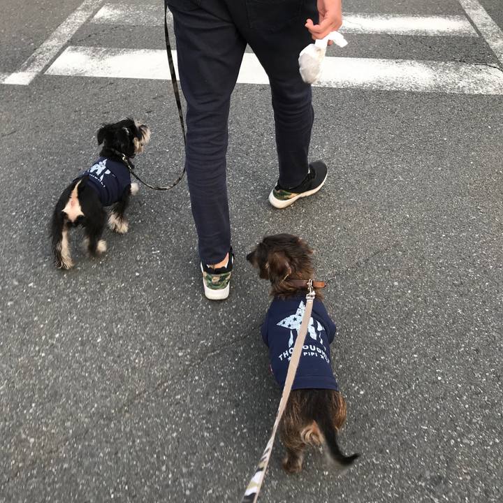 31bd98ce 4988 40aa 9f7a 19c7c4a76796 1554632546510