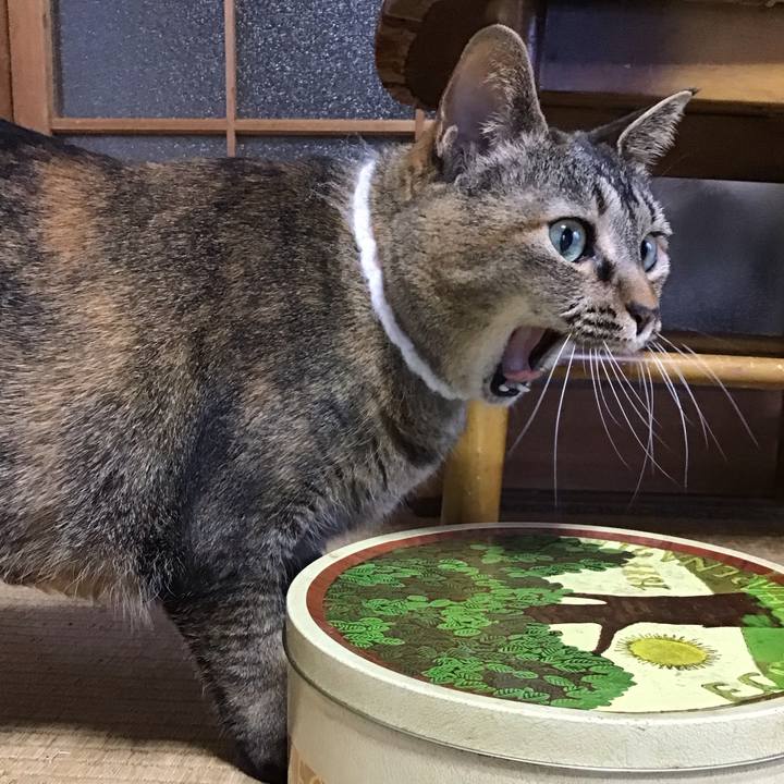 31bda391 9fec 4839 a84b 5712d824fb03 1746433141372