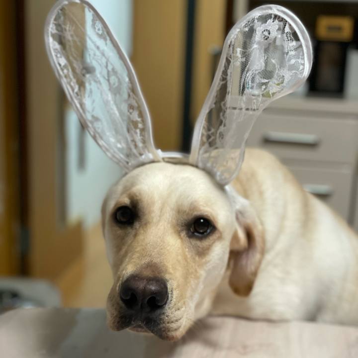 31bdb5ee c760 4ca8 bf15 c6f42821199c 1662523462530