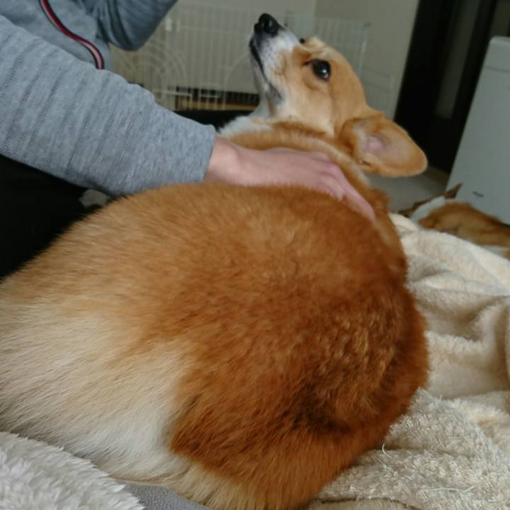 31bdb876 eb0f 4f85 bb54 0ca56bc3c41a 1522547242395