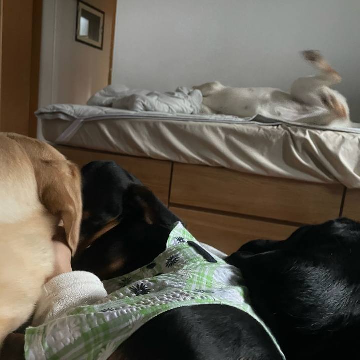 31bdfa86 2966 416f 9af7 fffbe34fab11 1652424673101