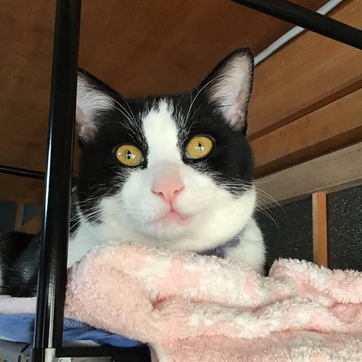 31be0abf 319d 4ff2 8288 29754e511f06 1643066265994