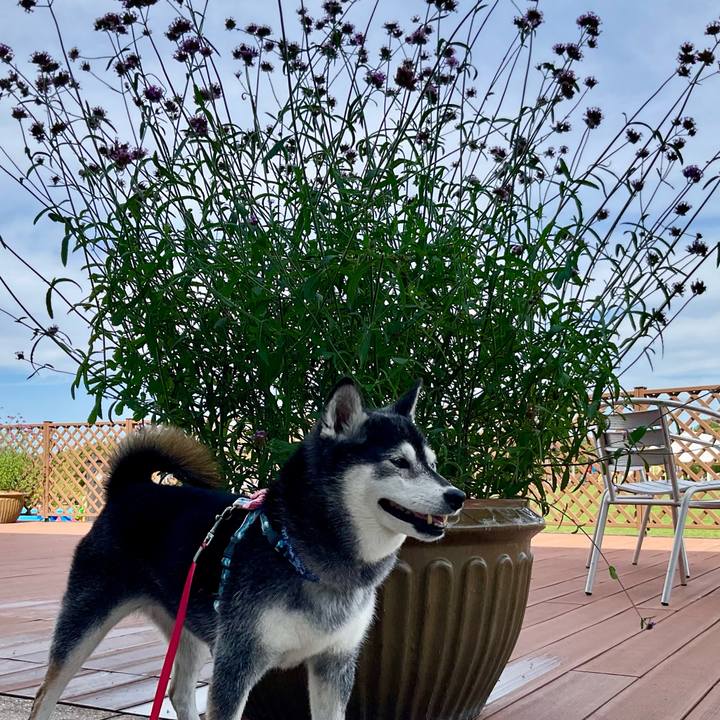 31be108b 54b6 4046 a433 92cb0956f275 1761027107787