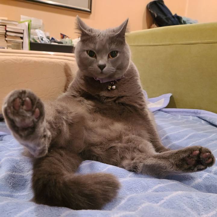 31be214f 4567 4802 a592 7863360f4fb0 1637056823163