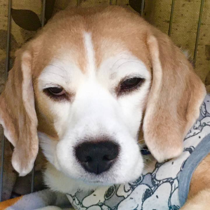 31be437d 3cec 403d 9559 5a800e0c13aa 1574132747425