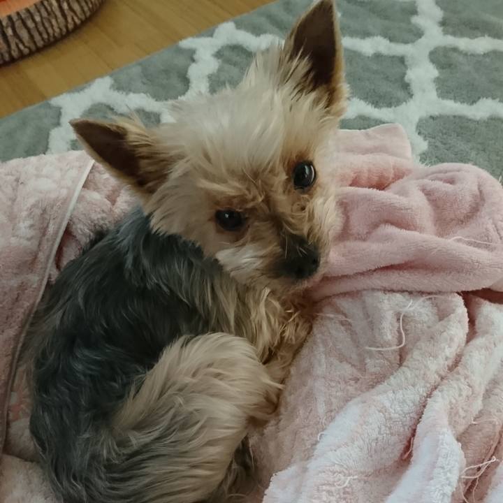 31be95bc fdf0 436b 9236 577965e8784b 1550902835028