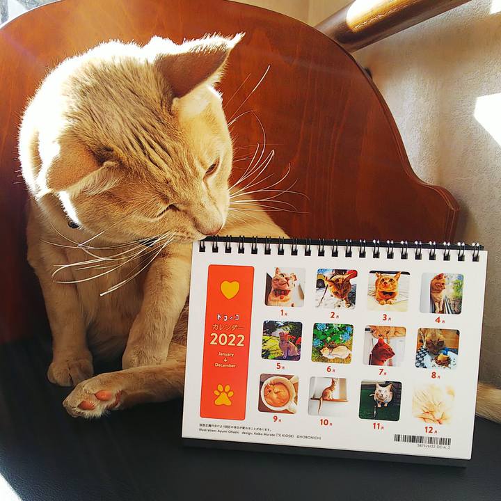 31be9e11 e50d 4939 8144 e83179f29a81 1637379001802