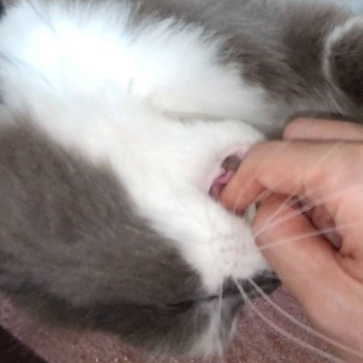 31beafc3 c8e4 4356 85ff a605e9bde230 1634042004364