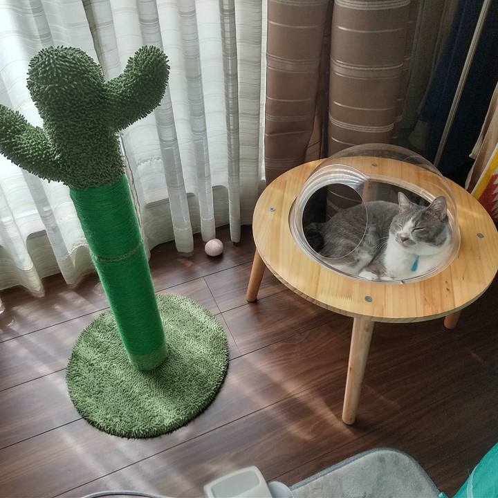 31beb6eb b309 4b78 847a 82dc97b58773 1630208367088