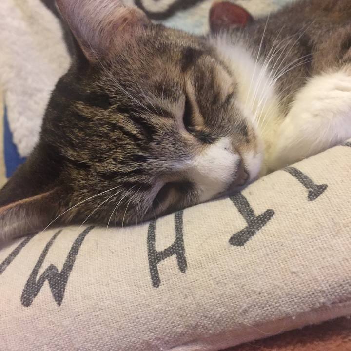 31bec8e4 fd30 4121 8b7d c4389a15a05e 1572354783920