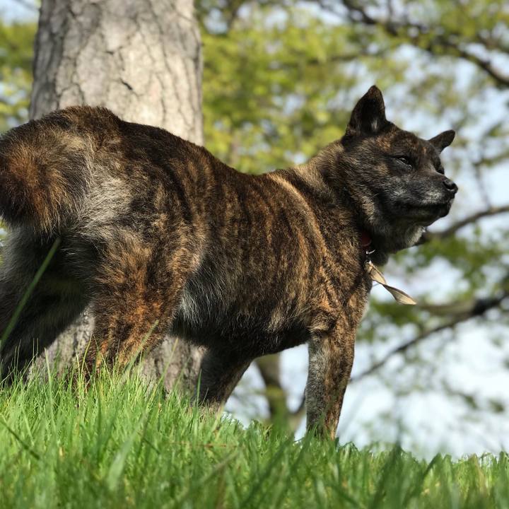 31bf5c01 493b 4546 80e2 c06385602d0d 1556532039768