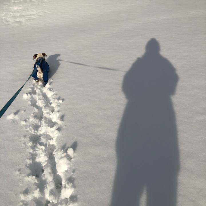 31bf6e11 acb0 4b48 995e 2f15c3527d01 1644225491479