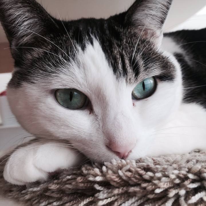 31bf72d3 4309 41bc 88dc 1179eca21d0c 1509863983175