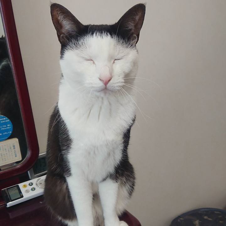 31bf7451 e784 4eea 8e89 ca375ed8c179 1553830096842