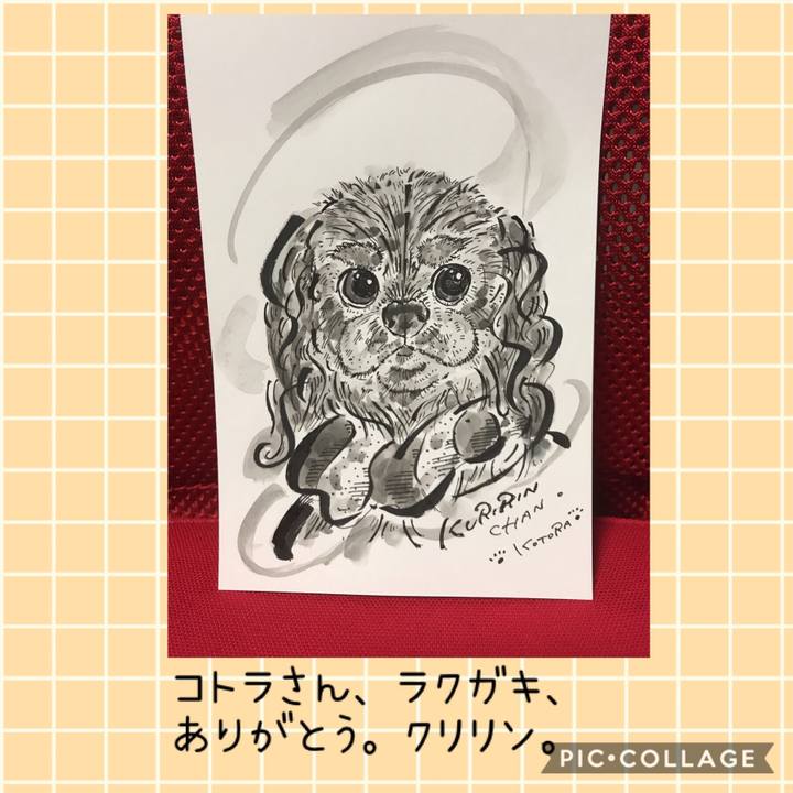 31bfce59 d383 4933 a4ef a71c21343ddf 1540390920196