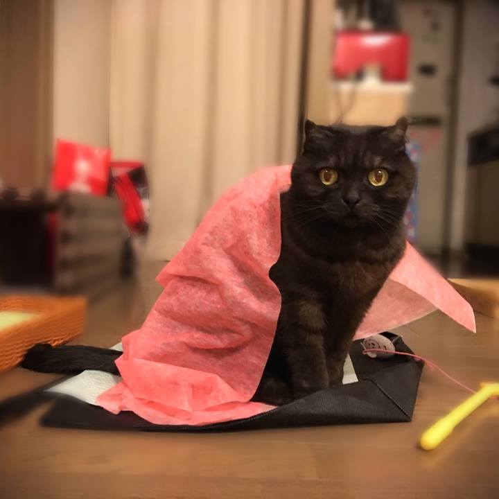 31c01988 9a18 44bf 8055 e8334007dfa7 1518539952184