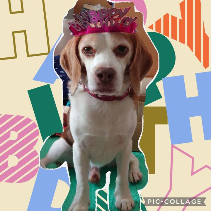 31c027fd a412 4192 8013 2da56a59abec 1756078732771