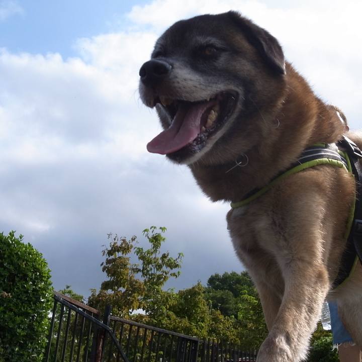 31c04331 7de6 450c 8201 b572685cbddf 1582636753775