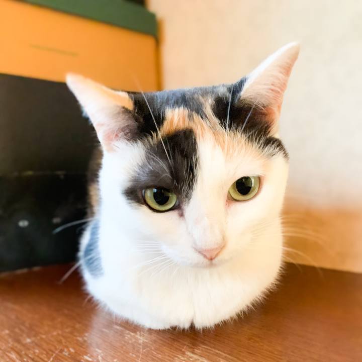 31c084ed f0fb 4b4f 810c c24baad3b31a 1568166138556