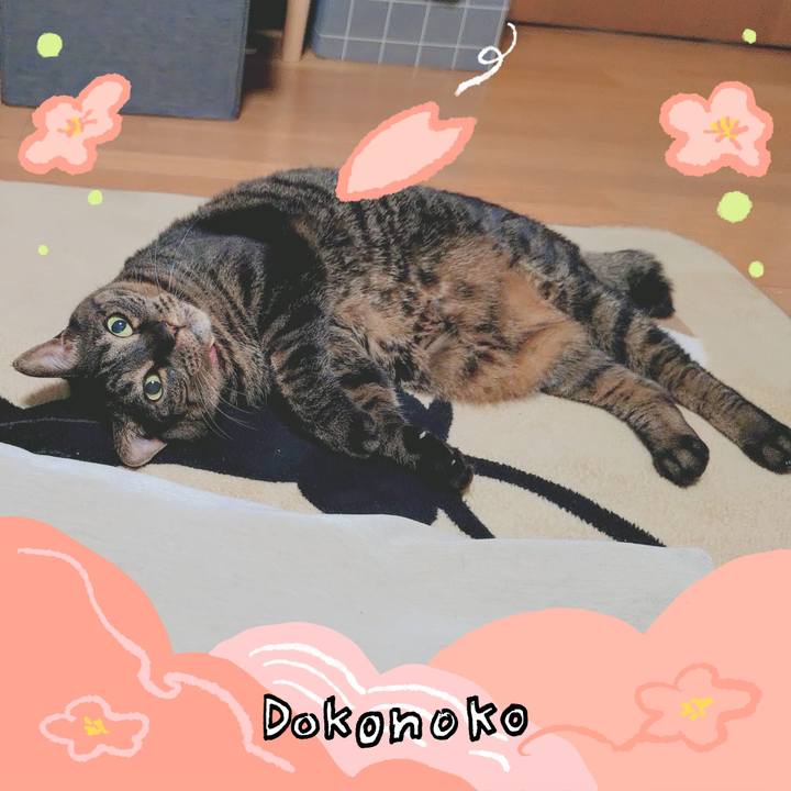 31c08b35 14d0 46e7 92e0 b506a14f385a 1775193315507