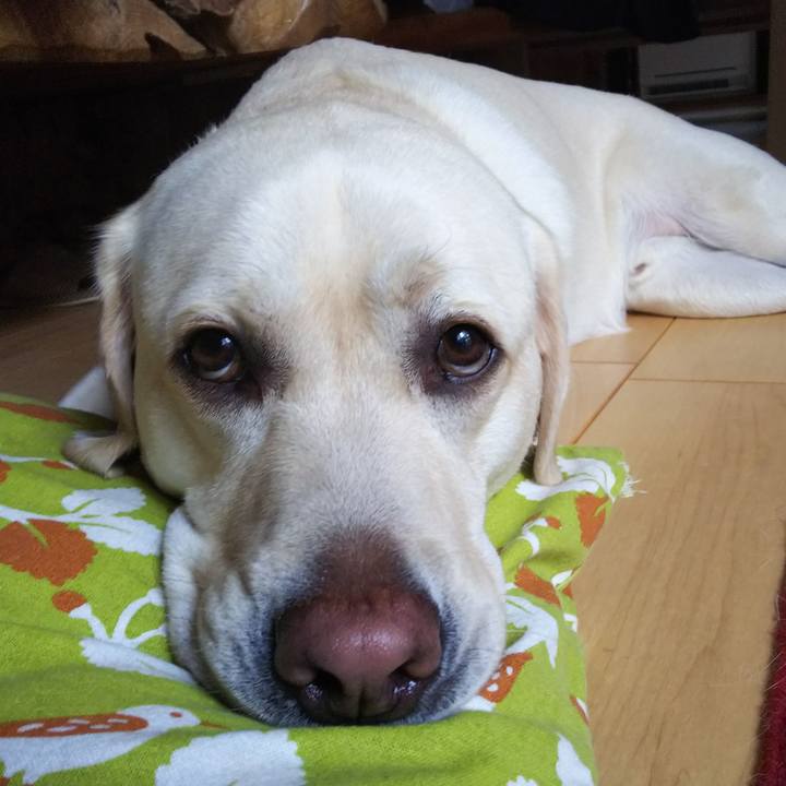 31c09363 eb85 44a2 b7ae 7476af0f5608 1531036408535