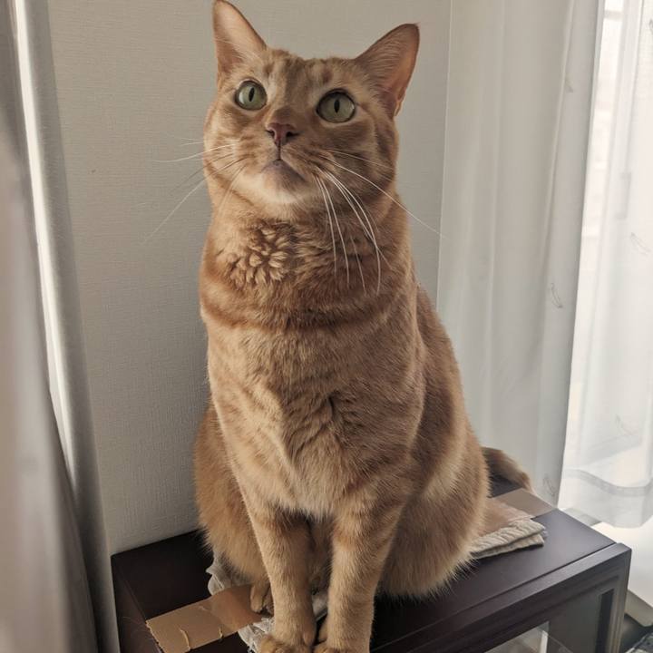 31c0a244 acda 431c afa2 527825148de0 1711630955352