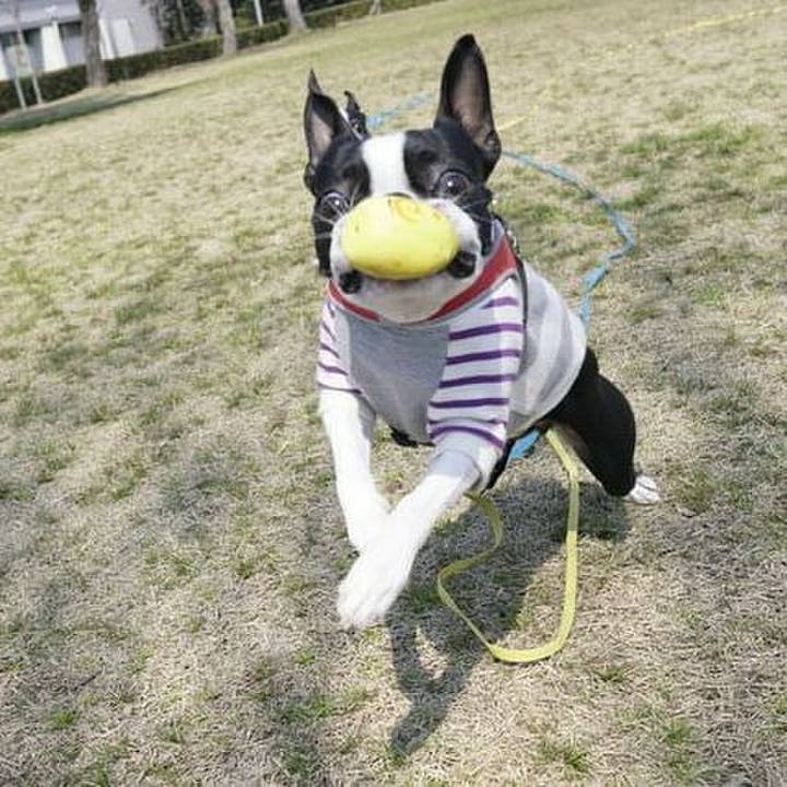 31c0c615 7b9e 40f6 ae10 efd0986fc567 1552647682788