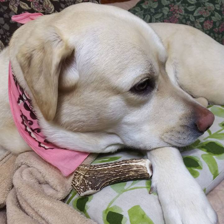 31c100de 564f 4125 8d2c 63dcac6c69c7 1584352090828