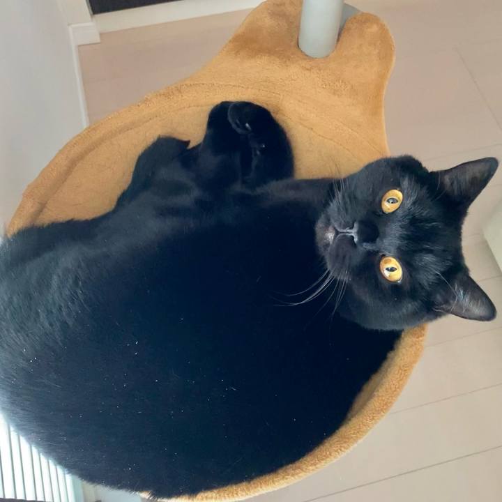 31c101c5 2b8c 4f4d 810c 2f2c1d09d3de 1644982611862